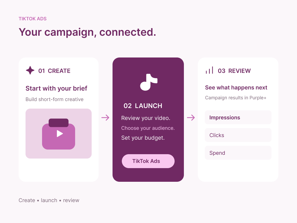 TikTok campaign workspace showing campaigns, audiences and budgets organised in one view